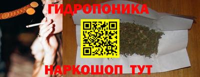 прущие грибы Бугуруслан
