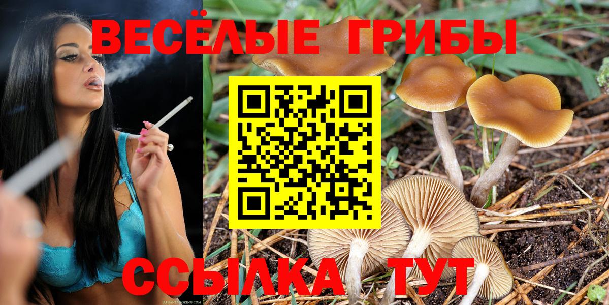 Псилоцибиновые грибы Psilocybe Нижневартовск